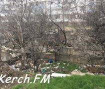 В Керчи в развалины на Буденного люди сносят мусор