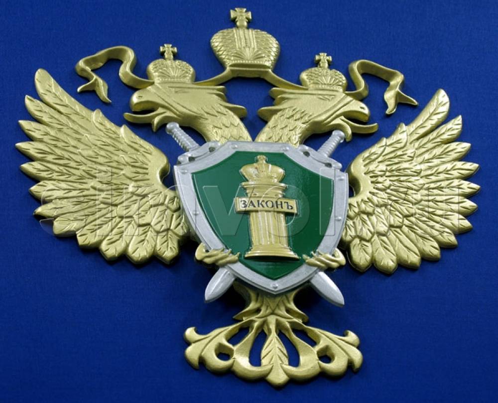 Прокуратура россии картинки