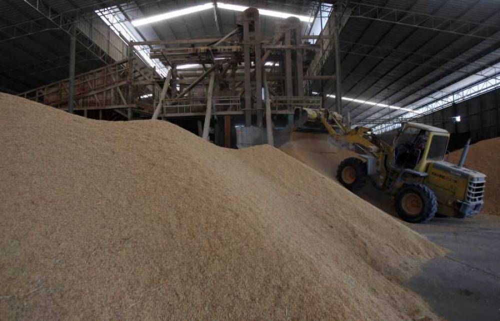 1 5 млн тонн. Тонна зерна. 5 Тонн зерна. Запасы зерна. Миллион тонн зерна.